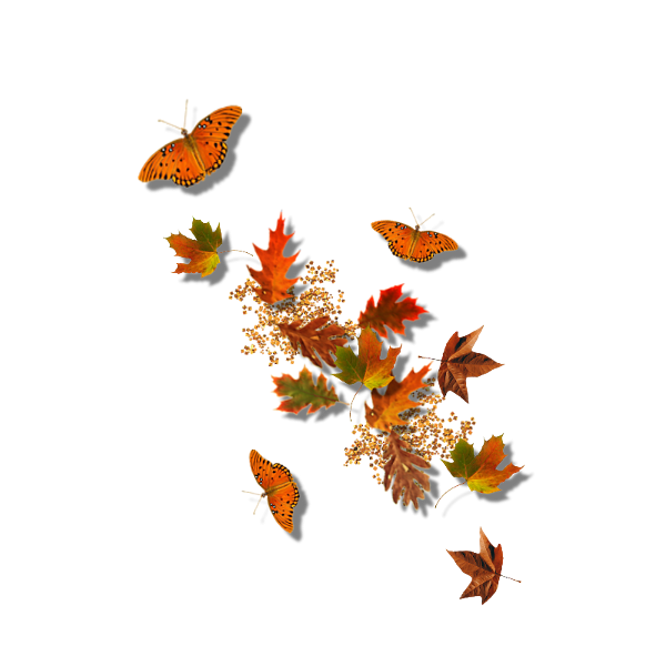 őszi állatok_37.png